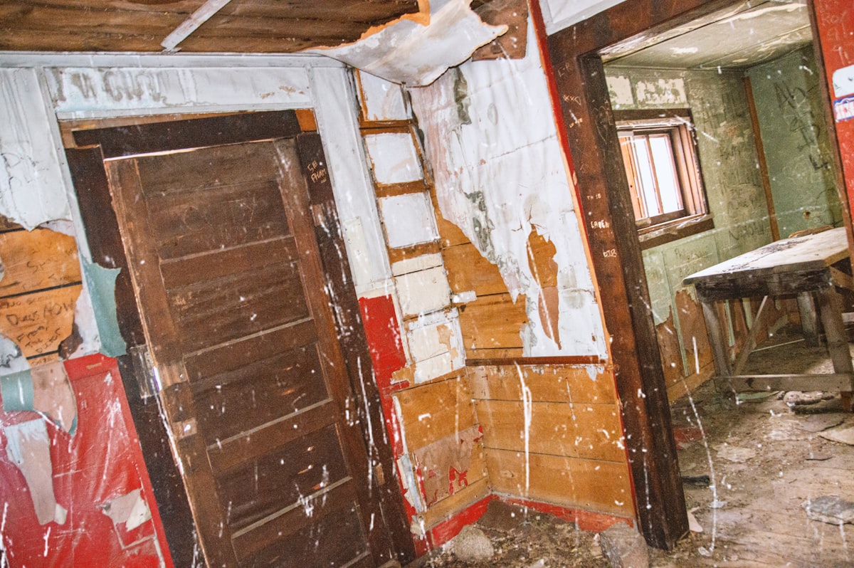 Flood Cleanup service in Waukegan, IL