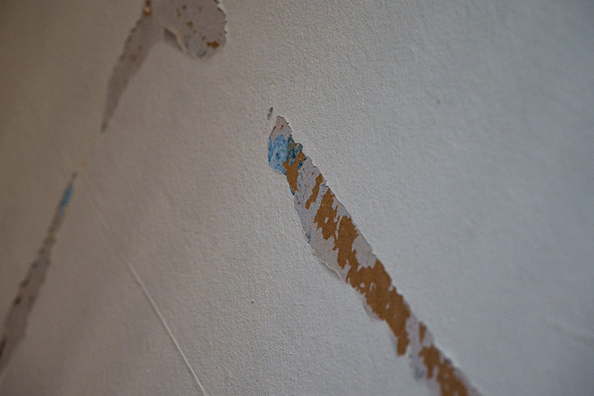 Commercial Water Damage service in Waukegan, IL